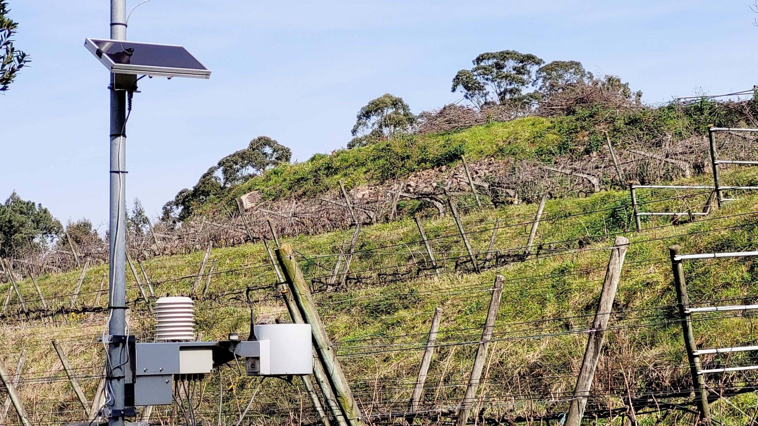 fitovit hor (1) c|fitivit cuadro|fitovit vert c|Logo app fitovit